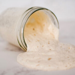Sourdough Starter