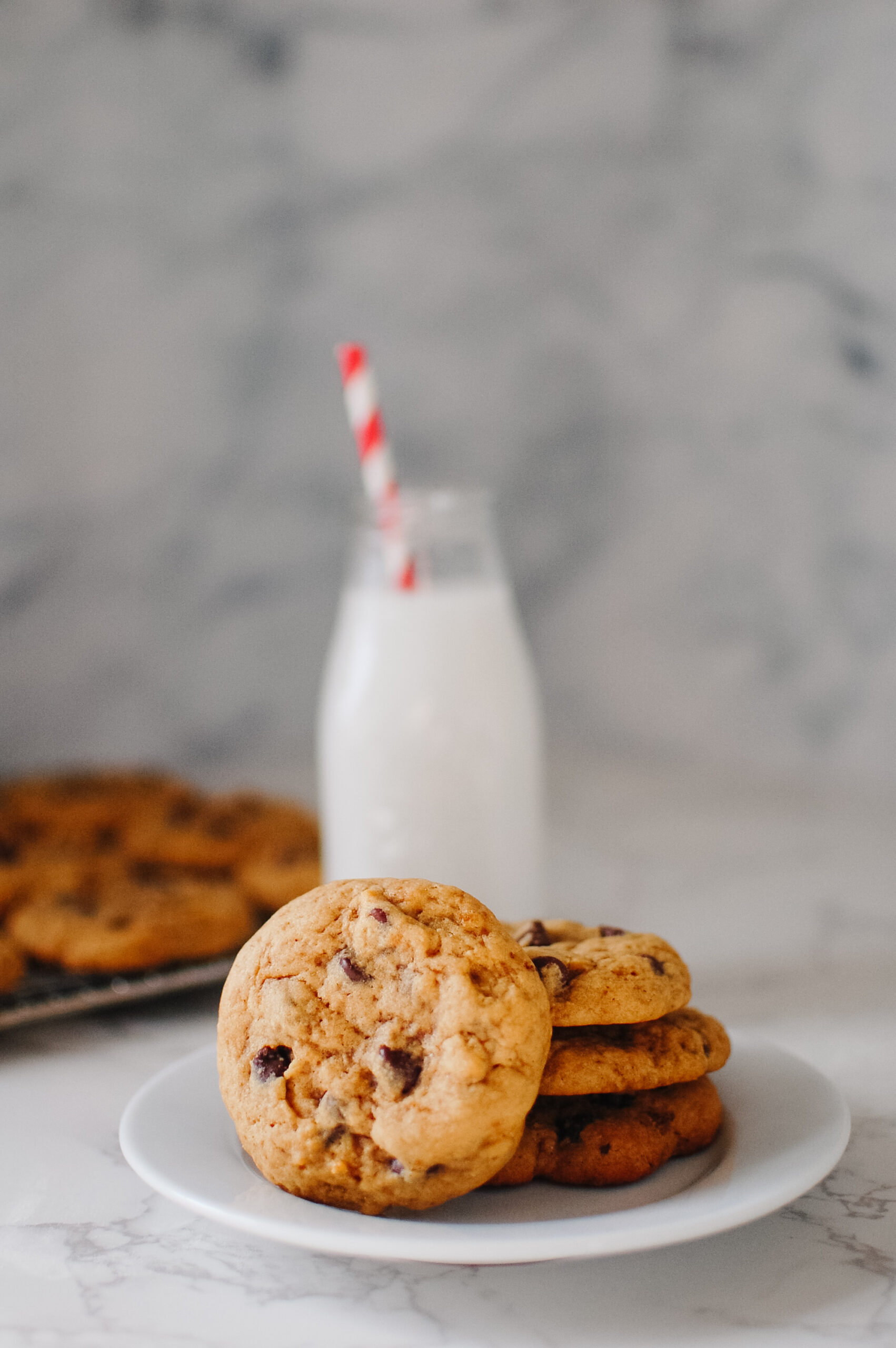 Featured image for “Sourdough Chocolate Chip Cookies with Browned Butter”